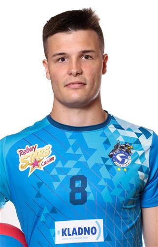 MIKULENKA Vladimir