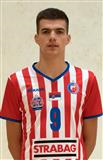 PETROVIC Nikola