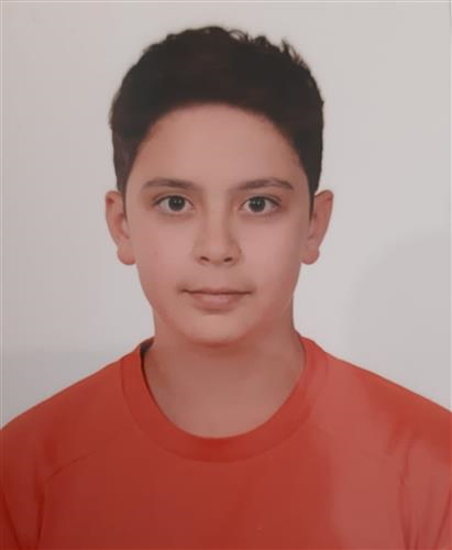 DEMİR Alp